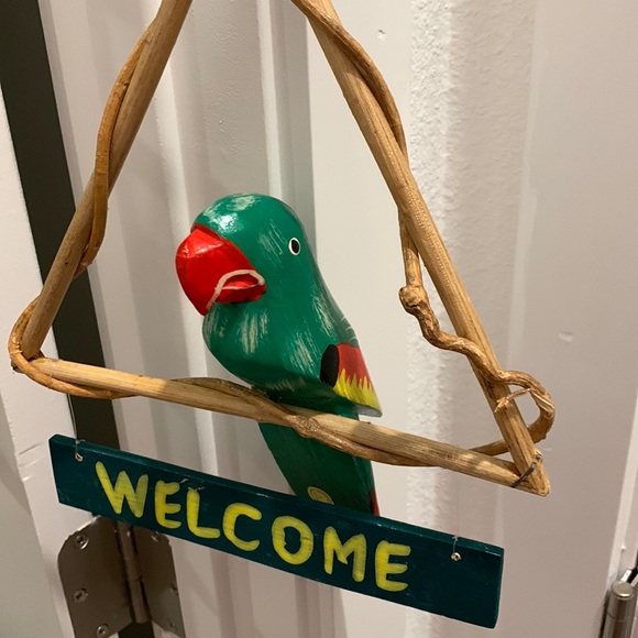 Parrots 🦜 - Picture 7 of 12